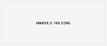 Anadolu Holding